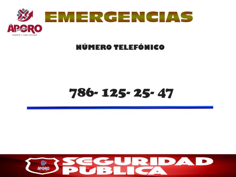 “Seguridad Pública, de Áporo.